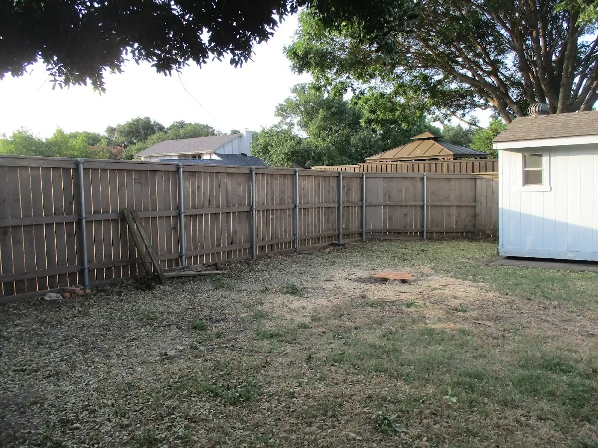Cleared yard after professional tree removal in Anchorville